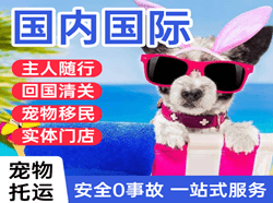 平潭机场托运国际宠物托运 【国